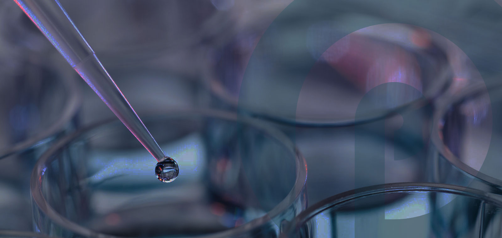 pharma ai assessment