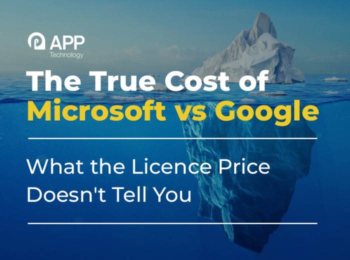the true cost of microsoft vs google